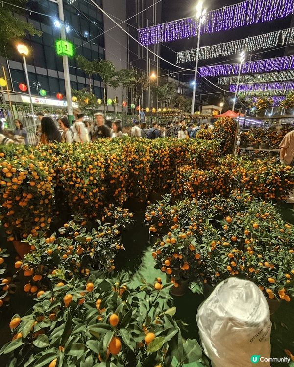 花市賣不同款金吉鋪，當日環境十分熱鬧，人來人往，氣氛很好