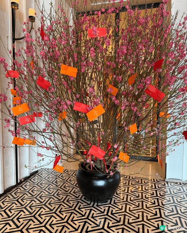 農曆新年，很多大型商場都會擺放大盆桃花