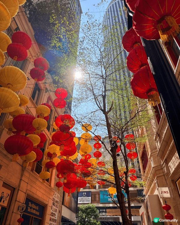 🏮 過年賞燈籠！