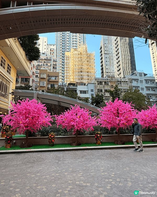 🏮 過年賞燈籠！