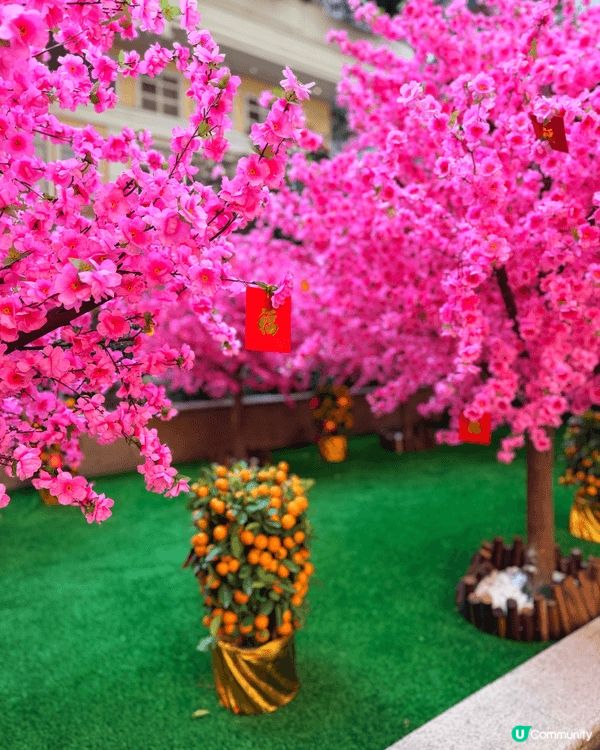 🏮 過年賞燈籠！