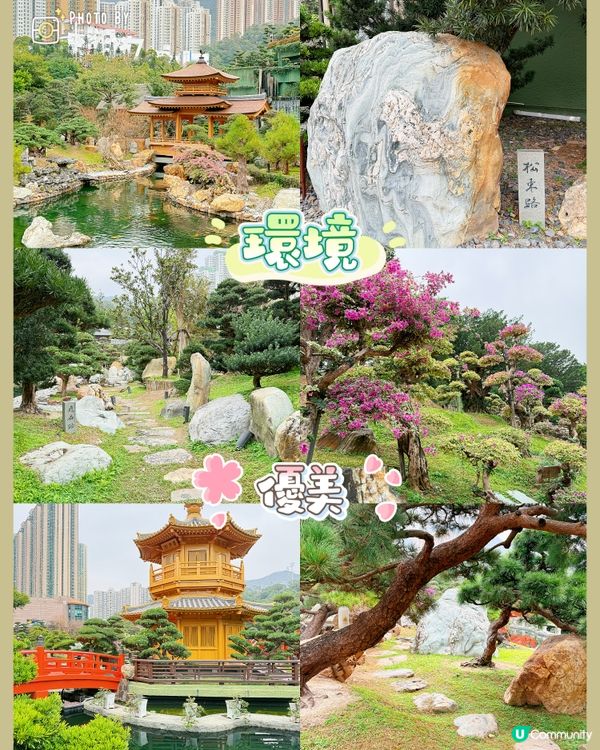 鑽石山精緻素食齋菜推薦！