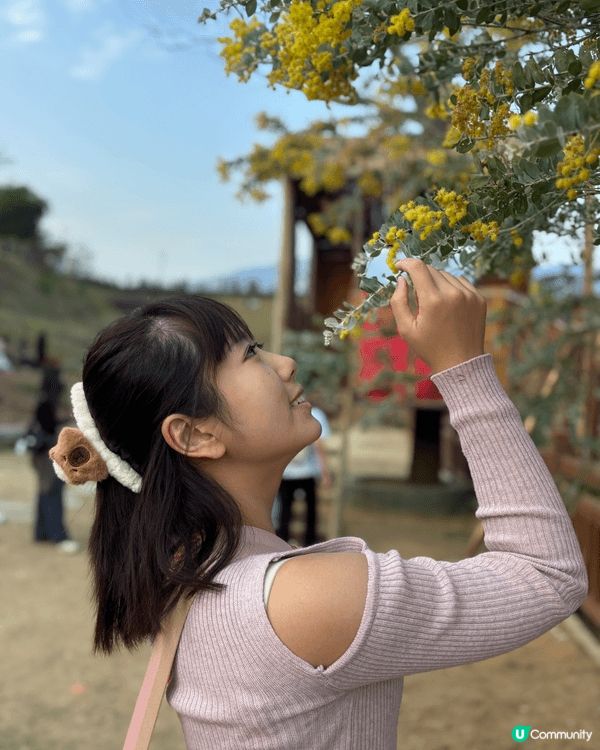 羅浮山大洞山境幫女朋友影靚相，有好多花開左，行個大運，祝大家...