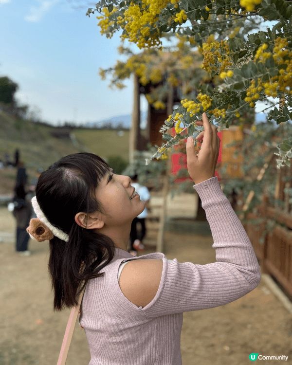 羅浮山大洞山境幫女朋友影靚相，有好多花開左，行個大運，祝大家...