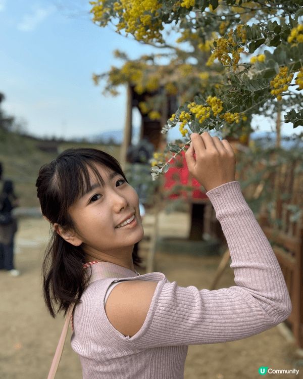 羅浮山大洞山境幫女朋友影靚相，有好多花開左，行個大運，祝大家...