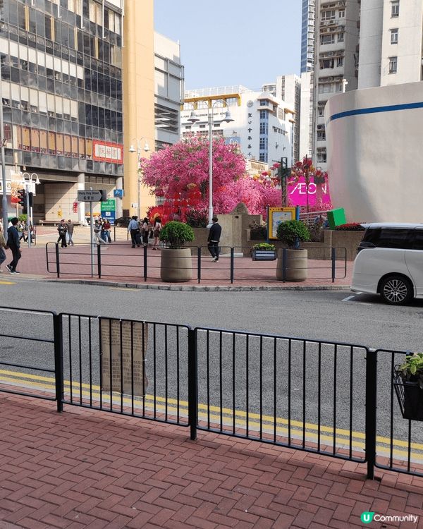 今年拜年再經過黃埔天地，它外觀色彩繽紛花燈及閃爍燈飾，在日光...