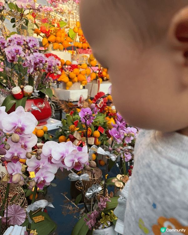 第一次帶BB去花市，選擇咗去葵芳。葵芳花市係喺葵涌運動場，推...