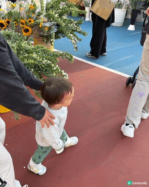 第一次帶BB去花市，選擇咗去葵芳。葵芳花市係喺葵涌運動場，推...