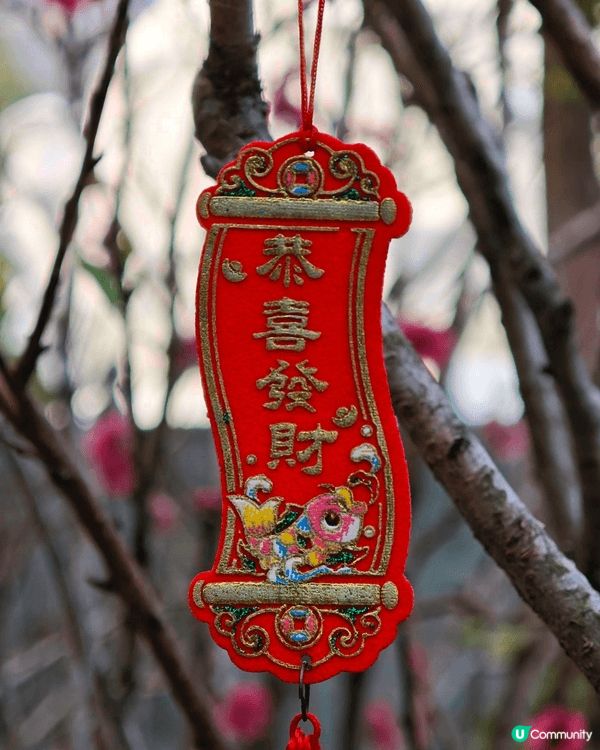 恭喜發財，希望今年行好運