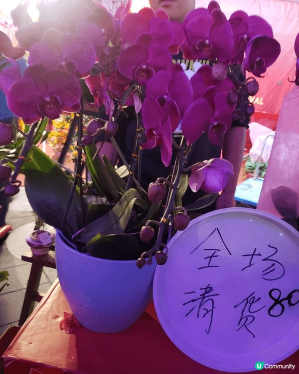 除夕夜到了深圳福田年宵花市一遊，一踏入花市，花香撲鼻而來。海...