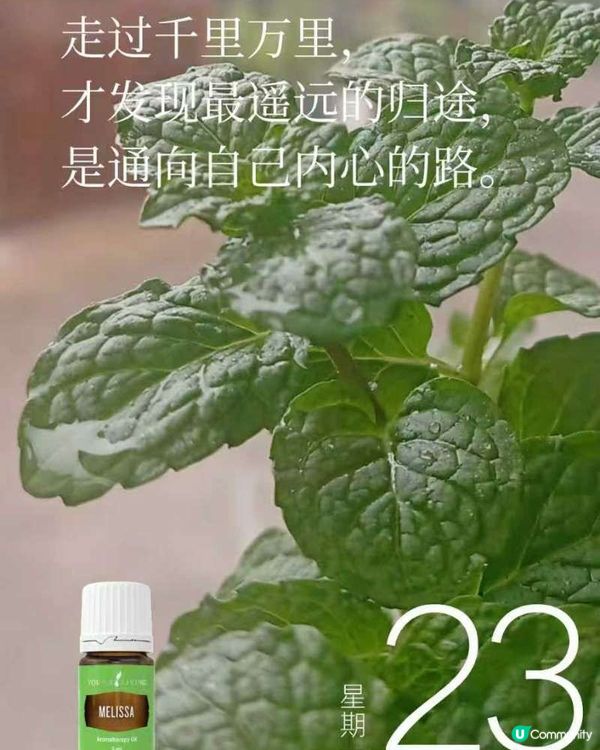 跟我學習精油運用，讓生活更好