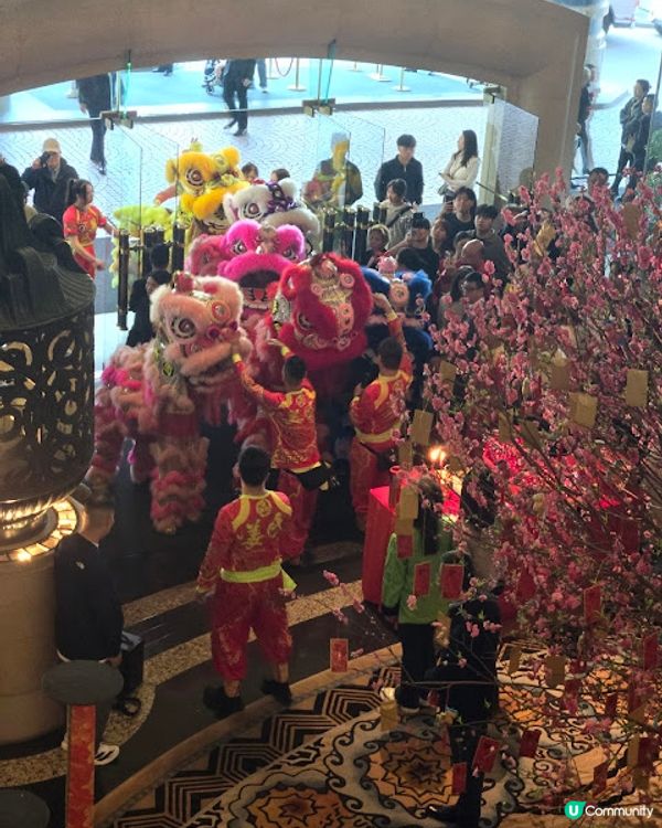 鹿悅日本餐廳 - 開年飯