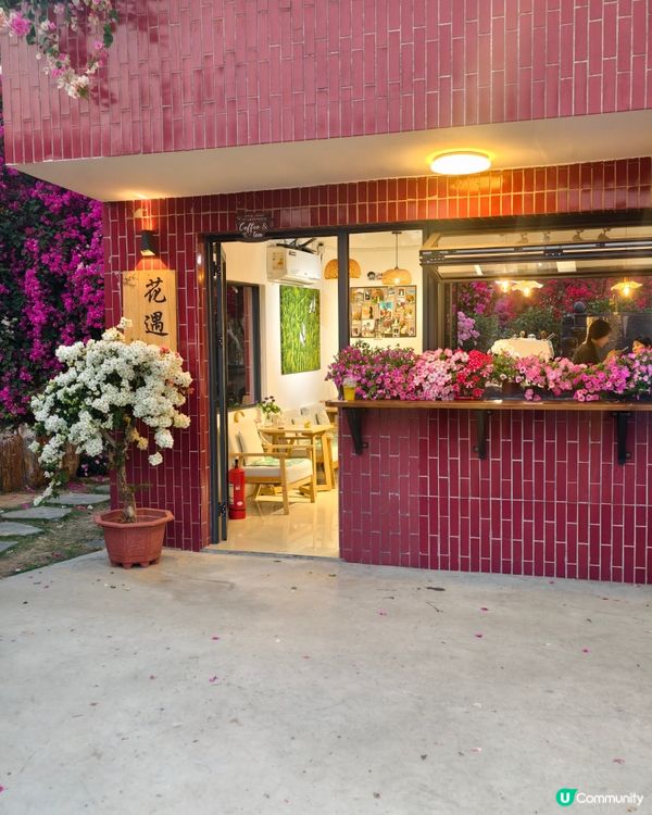 1 小時+ 直達 ❤️🧡三角梅花海打卡聖地