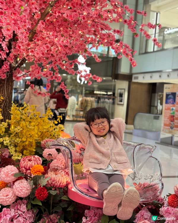 2026農曆新年打卡影靚相～