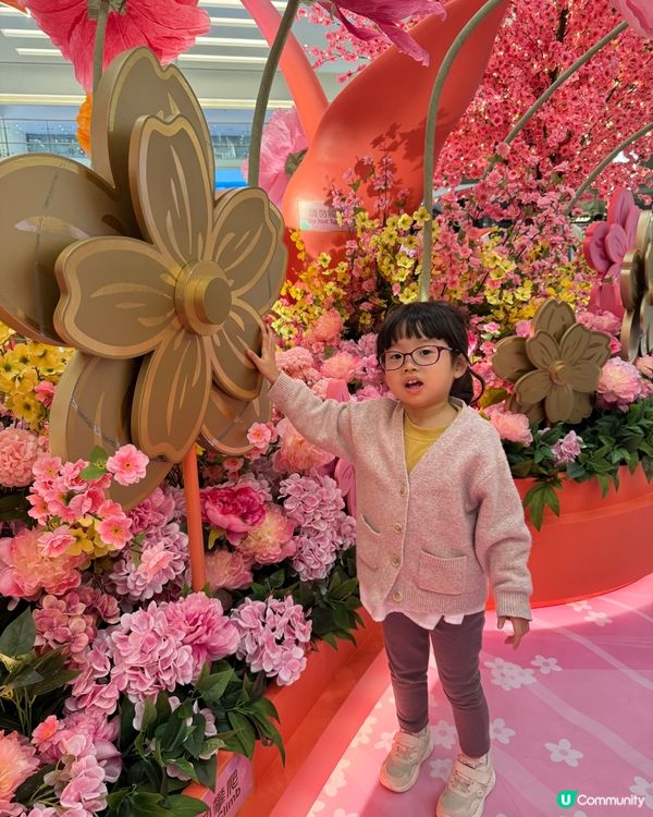 2026農曆新年打卡影靚相～