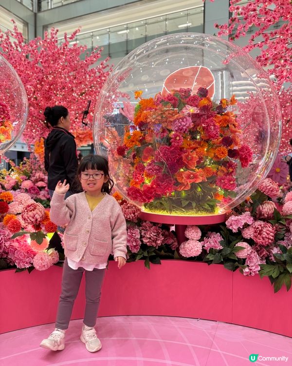 2026農曆新年打卡影靚相～