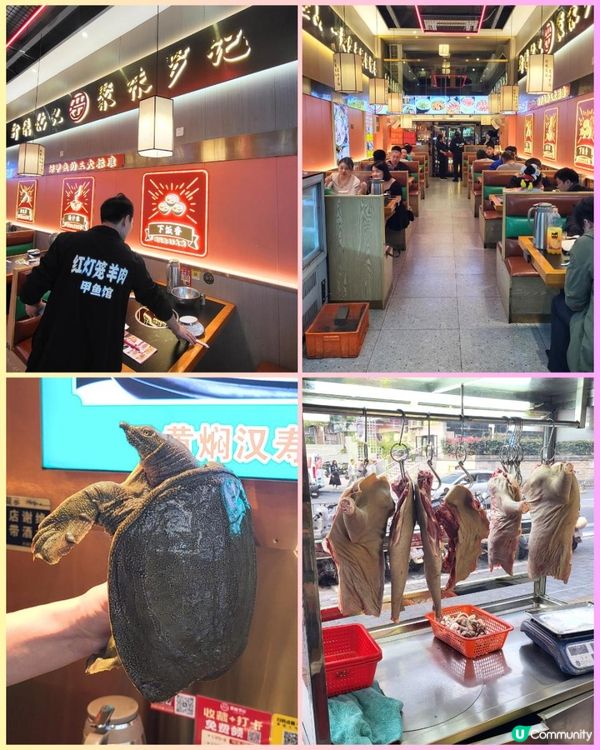 為碗甲魚過關 30年老店膠質拉絲