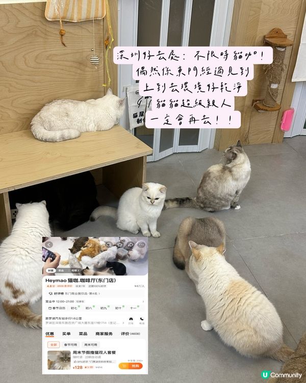 深圳不限時貓Cafe😆💕