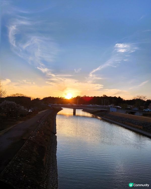 千波公園！靚景+玩樂🥰