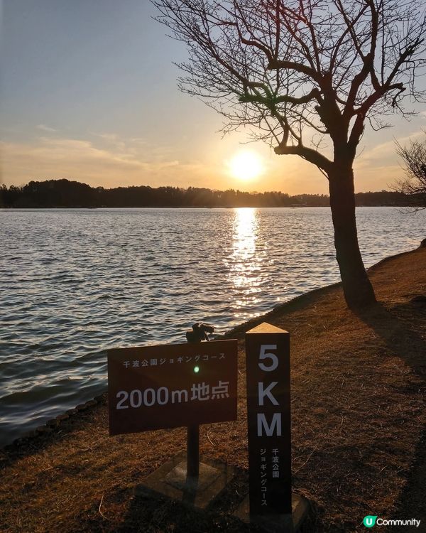 千波公園！靚景+玩樂🥰