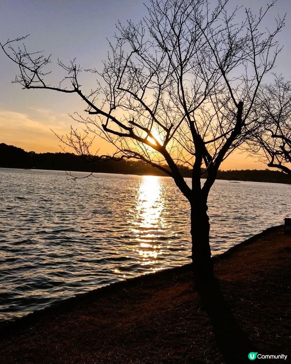 千波公園！靚景+玩樂🥰