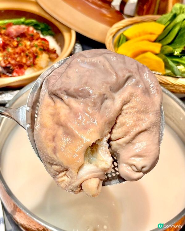 新一年肚包翅爬金山！💰✨