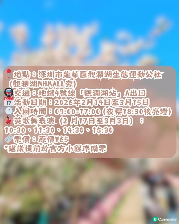 深圳第10屆櫻花節限時30日🌸! 佔地22萬㎡/1200株櫻花/1000㎡萬壽菊花海                                    