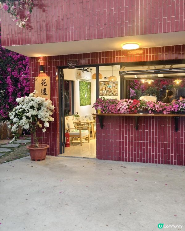 1 小時+ 直達 ❤️🧡三角梅花海打卡聖地