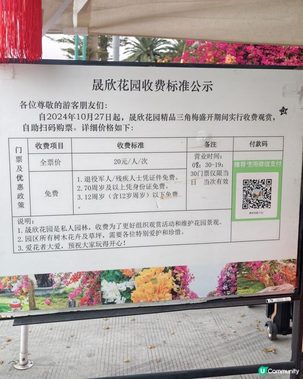 1 小時+ 直達 ❤️🧡三角梅花海打卡聖地