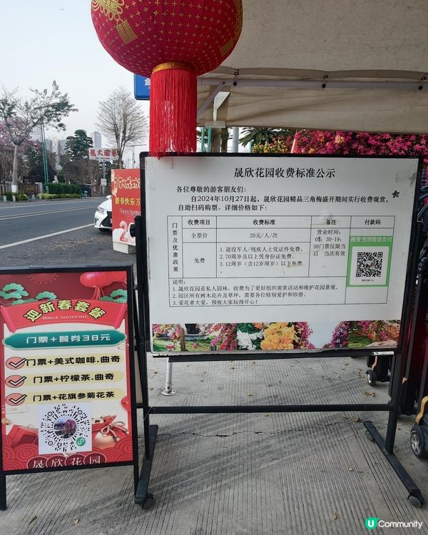 1 小時+ 直達 ❤️🧡三角梅花海打卡聖地