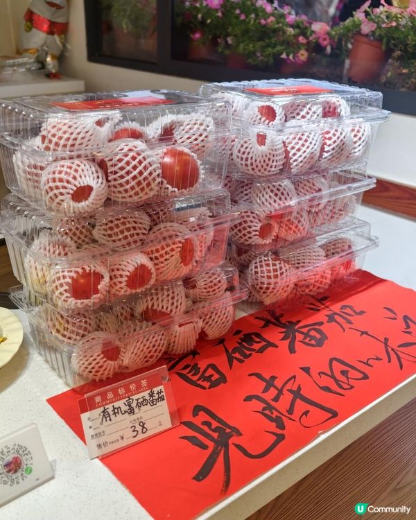 1 小時+ 直達 ❤️🧡三角梅花海打卡聖地