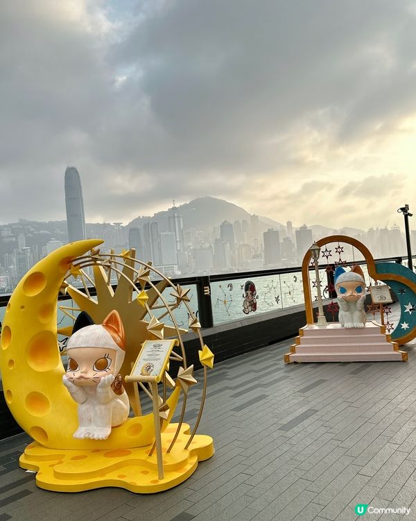 中港城限定！7米高MOLLY配維港日落夢幻感爆棚