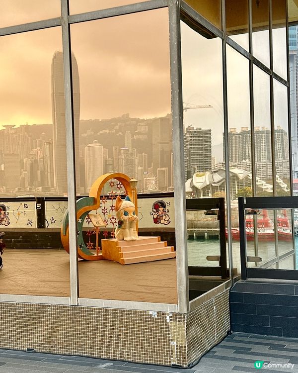 中港城限定！7米高MOLLY配維港日落夢幻感爆棚