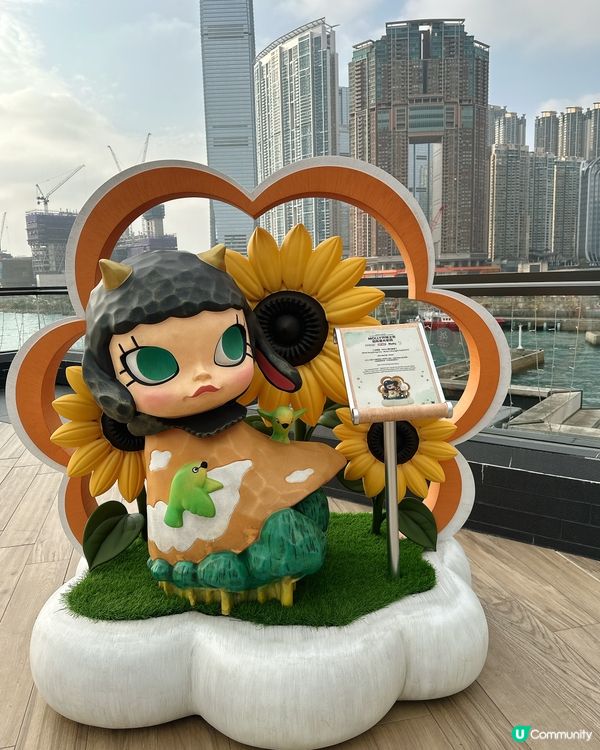 中港城限定！7米高MOLLY配維港日落夢幻感爆棚