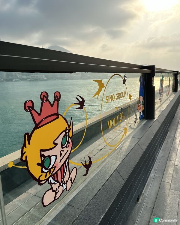 中港城限定！7米高MOLLY配維港日落夢幻感爆棚