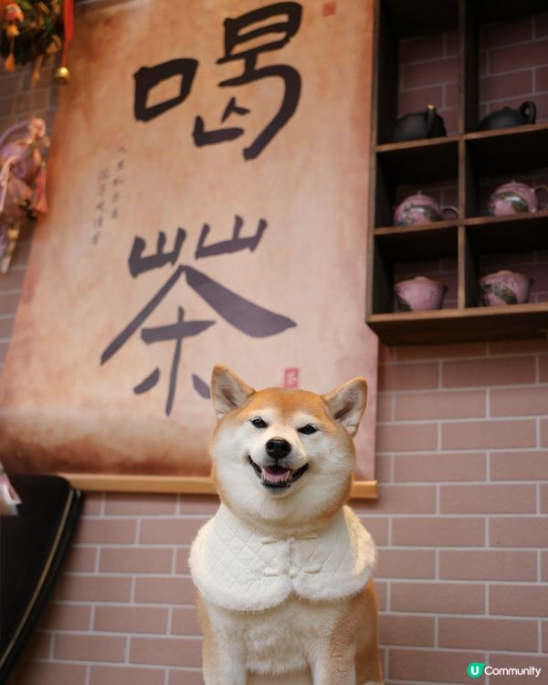 🫖賀年飲茶推介：大池小館🥢