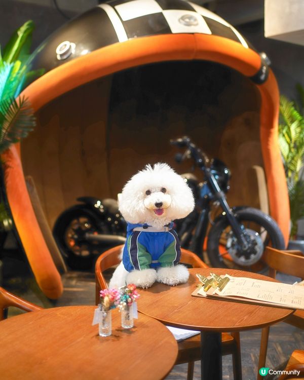 電單車主題咖啡店又大又靚🐶☕️！頭盔打卡位！✨