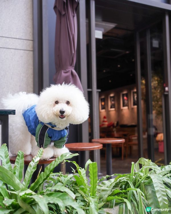 電單車主題咖啡店又大又靚🐶☕️！頭盔打卡位！✨