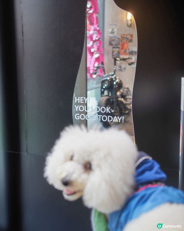 電單車主題咖啡店又大又靚🐶☕️！頭盔打卡位！✨