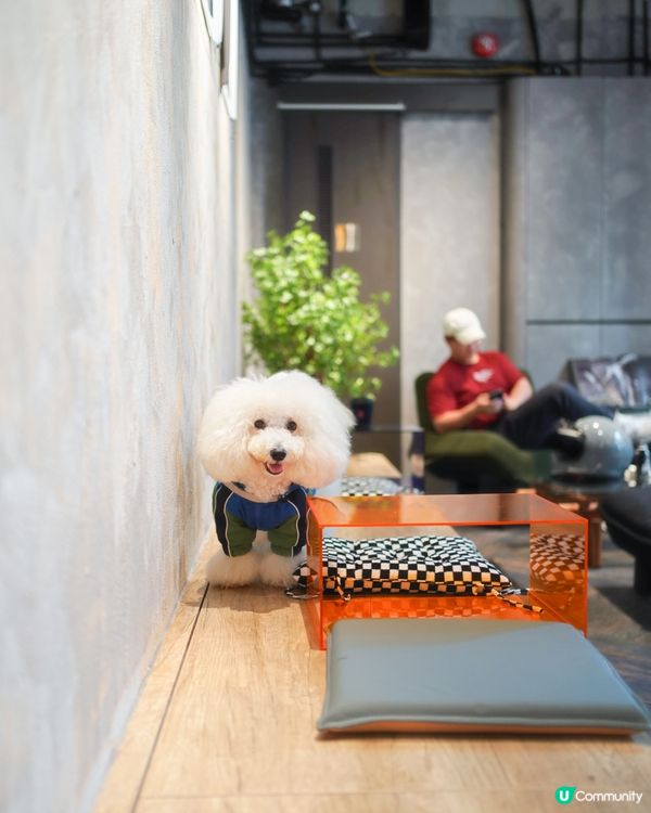 電單車主題咖啡店又大又靚🐶☕️！頭盔打卡位！✨