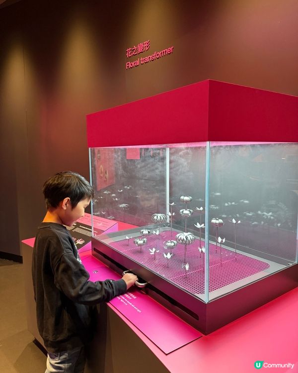 科學館超好玩！🔬帶仔仔學新野！