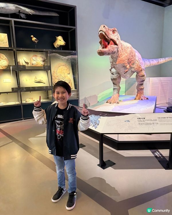 科學館超好玩！🔬帶仔仔學新野！