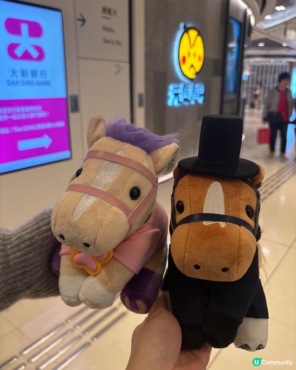 馬年開運大計！🐶🐎