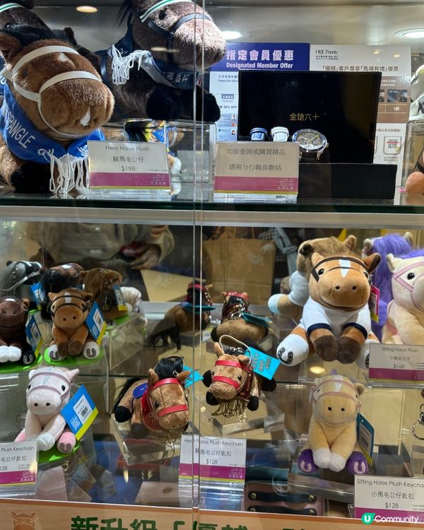 馬年開運大計！🐶🐎