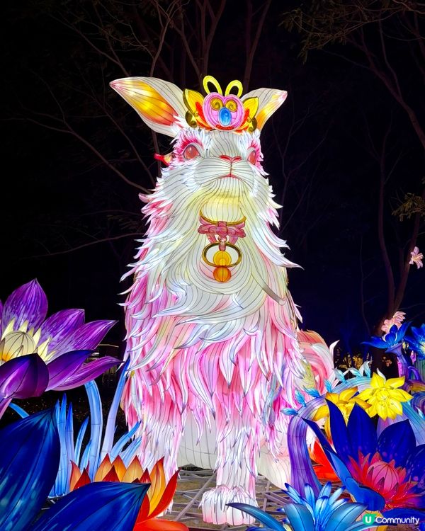 2026廈門園博苑新春燈會