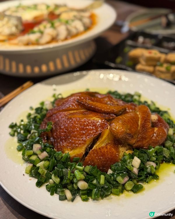 朗豪坊新派粵菜餐廳|玥派 Canto Spice🤩✨