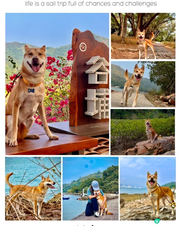 輕鬆行山2小時！⛰️ 沿海靚景🤤 