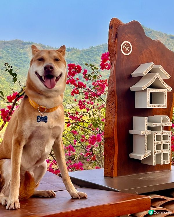 輕鬆行山2小時！⛰️ 沿海靚景🤤 