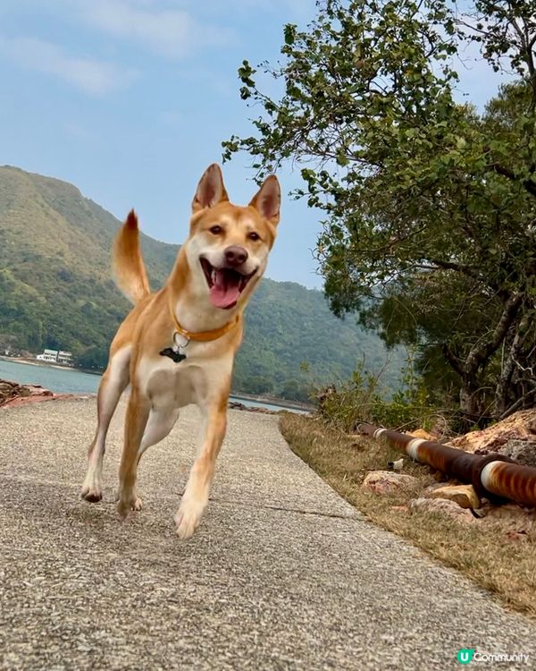 輕鬆行山2小時！⛰️ 沿海靚景🤤 