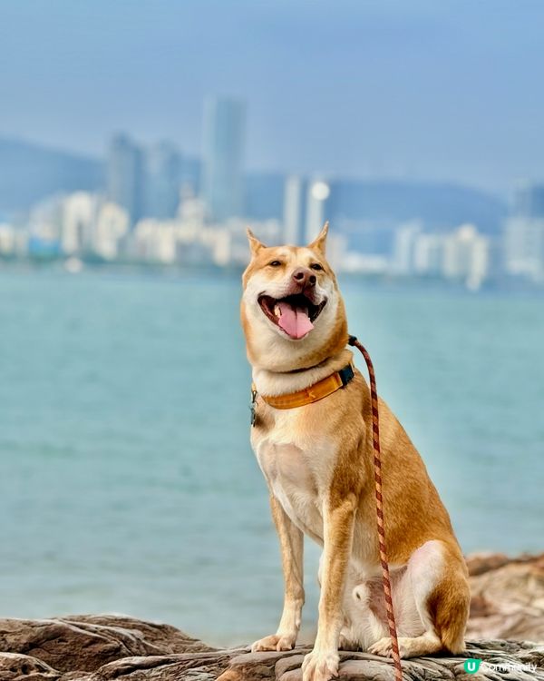 輕鬆行山2小時！⛰️ 沿海靚景🤤 
